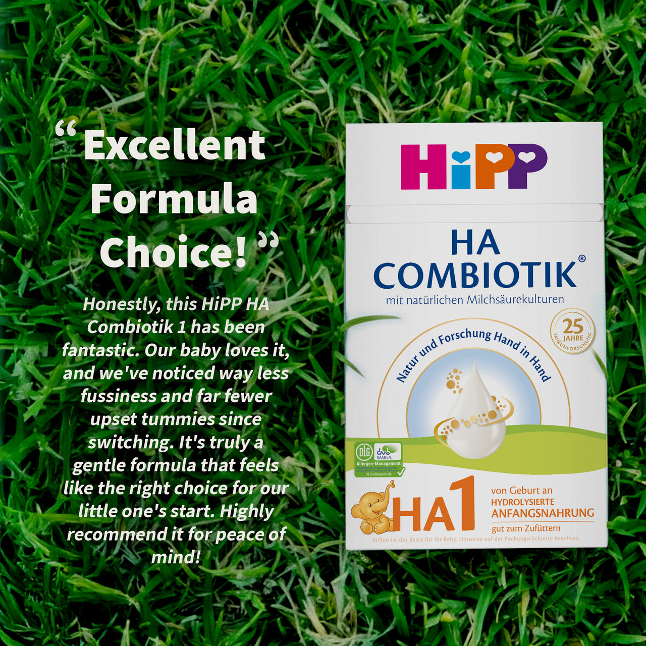 HiPP Goat Stage 2 – Organic Goat Milk Formula 6-12 months, German Version (400g)