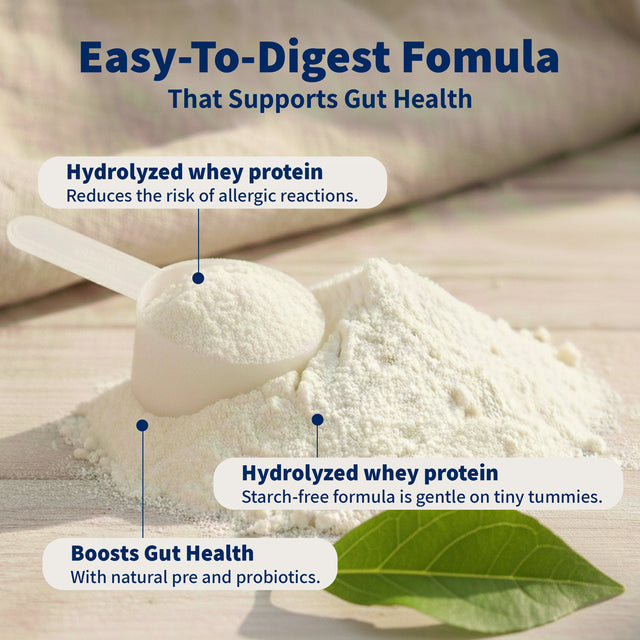 HiPP Goat Stage 2 – Organic Goat Milk Formula 6-12 months, German Version (400g)