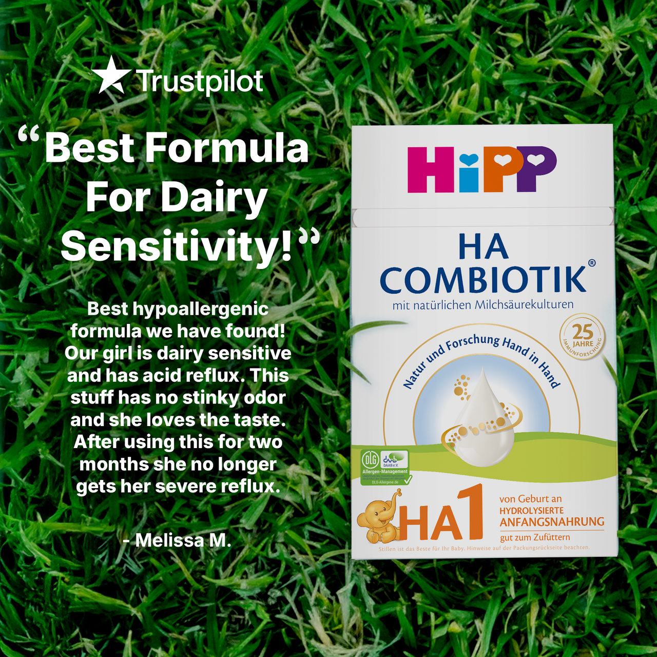 HiPP Goat Stage 2 – Organic Goat Milk Formula 6-12 months, German Version (400g)