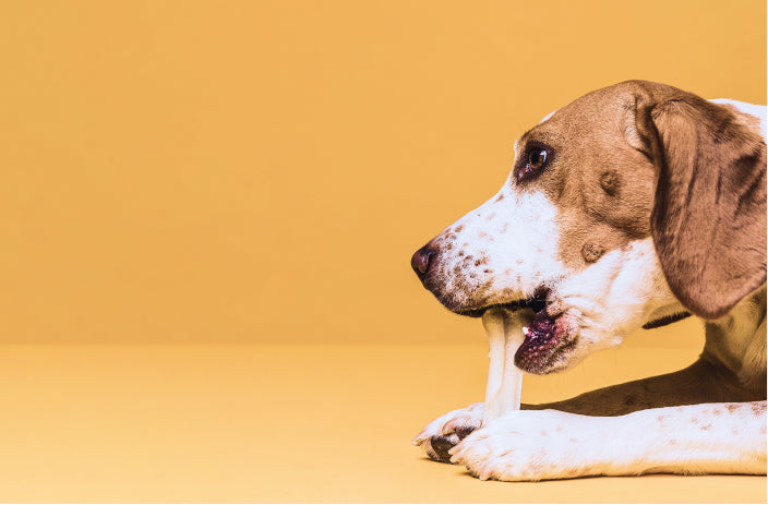 Variant test Without Combined Listing App